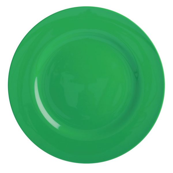 Groen melamine bord van RICE