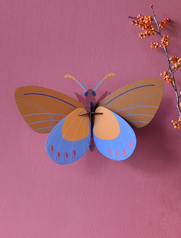Studio ROOF: Ochre Costa Butterfly