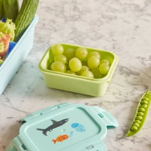 Rice: Lunchbox klein - Groen BXLUN-SWILIMI