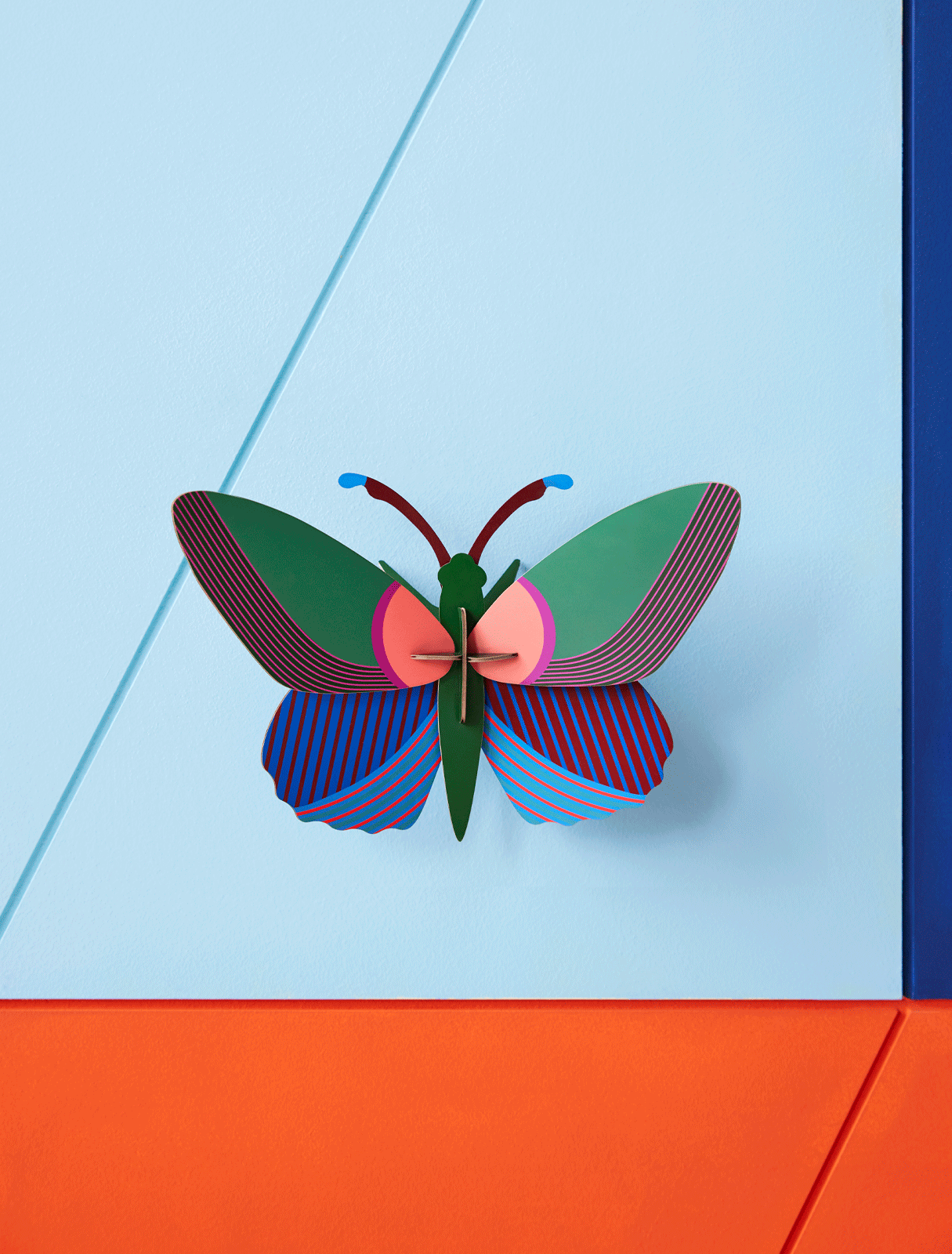 Studio ROOF: Acacia Butterfly Studio ROOF: Acacia Butterfly