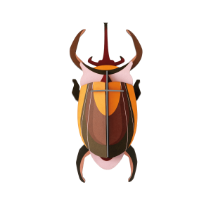 Studio ROOF: Elephant Beetle